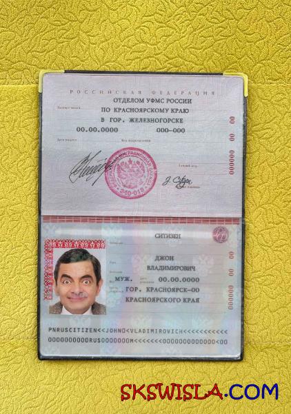 Rosja standardowy paszport wygląd zdjęcia pliki PSD, skan i fotografowany obraz